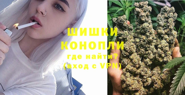 PSILOCYBIN Арсеньев